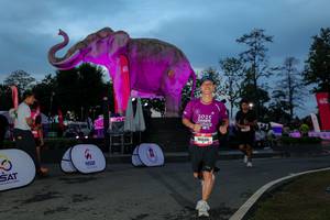 BIB: 
                            <button type="button" onclick="openModal(26529715)" class="btn btn-primary btn-sm float-right btn-popup" data-toggle="modal" data-target=".modal-high-quality">
                        <i class="fas fa-shopping-cart"></i> Add to Cart
                    </button>
                                            <button type="button" onclick="isThisMe(26529715, true)" class="btn btn-success btn-sm float-right btn-popup btn-isme hidden" data-toggle="tooltip" data-placement="bottom" title="นี่คือรูปของคุณใช่ไหม คลิกที่นี่เพื่อเอาเข้าอัลบั้ม">
                        <i class="fas fa-plus"></i> Add to album
                    </button>
                    <button type="button" onclick="isThisMe(26529715, false)" class="btn btn-warning btn-sm float-right btn-popup btn-isnotme hidden">
                        <i class="fas fa-ban"></i> Remove from album
                    </button>